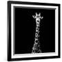 Safari Profile Collection - Giraffe Black Edition VI-Philippe Hugonnard-Framed Photographic Print