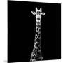 Safari Profile Collection - Giraffe Black Edition VI-Philippe Hugonnard-Mounted Photographic Print