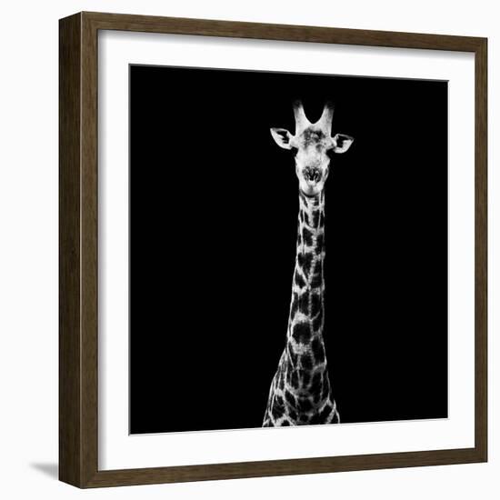 Safari Profile Collection - Giraffe Black Edition VI-Philippe Hugonnard-Framed Photographic Print