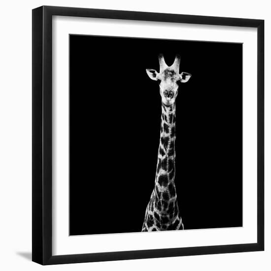 Safari Profile Collection - Giraffe Black Edition VI-Philippe Hugonnard-Framed Photographic Print