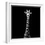 Safari Profile Collection - Giraffe Black Edition VI-Philippe Hugonnard-Framed Photographic Print