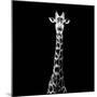 Safari Profile Collection - Giraffe Black Edition VI-Philippe Hugonnard-Mounted Photographic Print