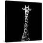 Safari Profile Collection - Giraffe Black Edition VI-Philippe Hugonnard-Stretched Canvas