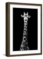 Safari Profile Collection - Giraffe Black Edition VIII-Philippe Hugonnard-Framed Photographic Print