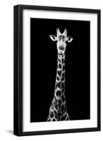 Safari Profile Collection - Giraffe Black Edition VIII-Philippe Hugonnard-Framed Photographic Print