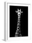 Safari Profile Collection - Giraffe Black Edition VIII-Philippe Hugonnard-Framed Photographic Print