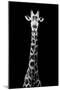 Safari Profile Collection - Giraffe Black Edition VIII-Philippe Hugonnard-Mounted Photographic Print