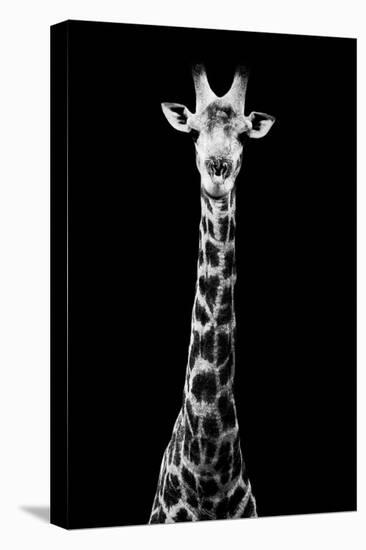 Safari Profile Collection - Giraffe Black Edition VIII-Philippe Hugonnard-Stretched Canvas