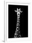 Safari Profile Collection - Giraffe Black Edition VIII-Philippe Hugonnard-Framed Photographic Print