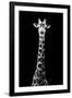 Safari Profile Collection - Giraffe Black Edition VIII-Philippe Hugonnard-Framed Photographic Print