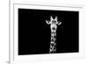 Safari Profile Collection - Giraffe Black Edition X-Philippe Hugonnard-Framed Photographic Print