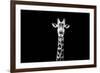 Safari Profile Collection - Giraffe Black Edition X-Philippe Hugonnard-Framed Photographic Print