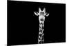 Safari Profile Collection - Giraffe Black Edition X-Philippe Hugonnard-Mounted Photographic Print