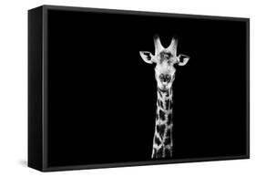 Safari Profile Collection - Giraffe Black Edition X-Philippe Hugonnard-Framed Stretched Canvas