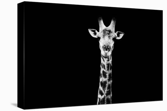 Safari Profile Collection - Giraffe Black Edition X-Philippe Hugonnard-Stretched Canvas