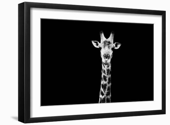 Safari Profile Collection - Giraffe Black Edition X-Philippe Hugonnard-Framed Photographic Print