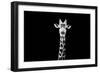 Safari Profile Collection - Giraffe Black Edition X-Philippe Hugonnard-Framed Photographic Print