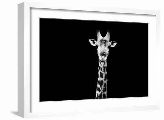 Safari Profile Collection - Giraffe Black Edition X-Philippe Hugonnard-Framed Photographic Print