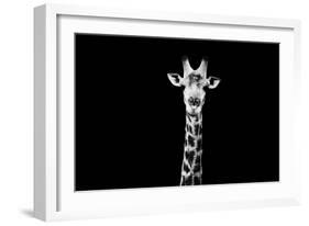 Safari Profile Collection - Giraffe Black Edition X-Philippe Hugonnard-Framed Photographic Print