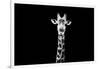 Safari Profile Collection - Giraffe Black Edition X-Philippe Hugonnard-Framed Photographic Print