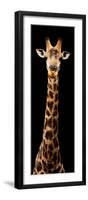 Safari Profile Collection - Giraffe Black Edition XI-Philippe Hugonnard-Framed Premium Photographic Print