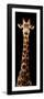 Safari Profile Collection - Giraffe Black Edition XI-Philippe Hugonnard-Framed Photographic Print