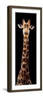 Safari Profile Collection - Giraffe Black Edition XI-Philippe Hugonnard-Framed Photographic Print