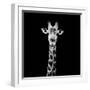 Safari Profile Collection - Giraffe Portrait Black Edition II-Philippe Hugonnard-Framed Photographic Print