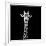 Safari Profile Collection - Giraffe Portrait Black Edition II-Philippe Hugonnard-Framed Photographic Print