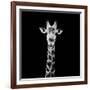 Safari Profile Collection - Giraffe Portrait Black Edition II-Philippe Hugonnard-Framed Photographic Print