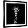 Safari Profile Collection - Giraffe Portrait Black Edition II-Philippe Hugonnard-Framed Photographic Print