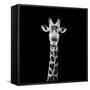 Safari Profile Collection - Giraffe Portrait Black Edition II-Philippe Hugonnard-Framed Stretched Canvas