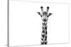 Safari Profile Collection - Giraffe Portrait White Edition II-Philippe Hugonnard-Stretched Canvas
