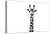 Safari Profile Collection - Giraffe Portrait White Edition II-Philippe Hugonnard-Stretched Canvas