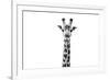 Safari Profile Collection - Giraffe Portrait White Edition II-Philippe Hugonnard-Framed Photographic Print