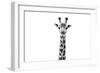 Safari Profile Collection - Giraffe Portrait White Edition II-Philippe Hugonnard-Framed Premium Photographic Print