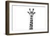 Safari Profile Collection - Giraffe Portrait White Edition II-Philippe Hugonnard-Framed Photographic Print