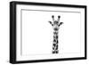 Safari Profile Collection - Giraffe Portrait White Edition II-Philippe Hugonnard-Framed Photographic Print
