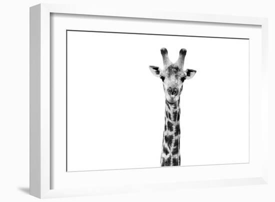 Safari Profile Collection - Giraffe Portrait White Edition II-Philippe Hugonnard-Framed Photographic Print