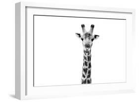 Safari Profile Collection - Giraffe Portrait White Edition II-Philippe Hugonnard-Framed Photographic Print