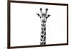 Safari Profile Collection - Giraffe Portrait White Edition II-Philippe Hugonnard-Framed Photographic Print