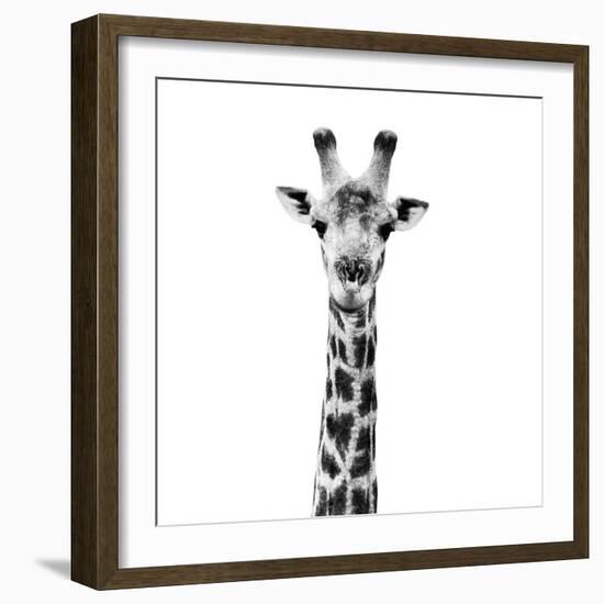 Safari Profile Collection - Giraffe Portrait White Edition IV-Philippe Hugonnard-Framed Photographic Print