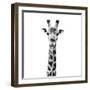 Safari Profile Collection - Giraffe Portrait White Edition IV-Philippe Hugonnard-Framed Photographic Print