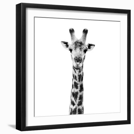 Safari Profile Collection - Giraffe Portrait White Edition IV-Philippe Hugonnard-Framed Photographic Print