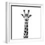 Safari Profile Collection - Giraffe Portrait White Edition IV-Philippe Hugonnard-Framed Photographic Print