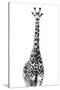 Safari Profile Collection - Giraffe White Edition II-Philippe Hugonnard-Stretched Canvas