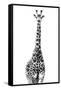 Safari Profile Collection - Giraffe White Edition II-Philippe Hugonnard-Framed Stretched Canvas