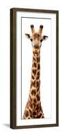 Safari Profile Collection - Giraffe White Edition IX-Philippe Hugonnard-Framed Photographic Print