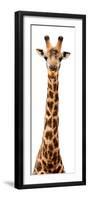 Safari Profile Collection - Giraffe White Edition IX-Philippe Hugonnard-Framed Photographic Print