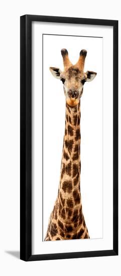 Safari Profile Collection - Giraffe White Edition IX-Philippe Hugonnard-Framed Photographic Print